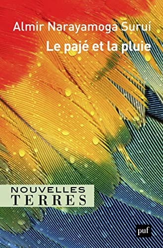 Le pajé et la pluie von PUF