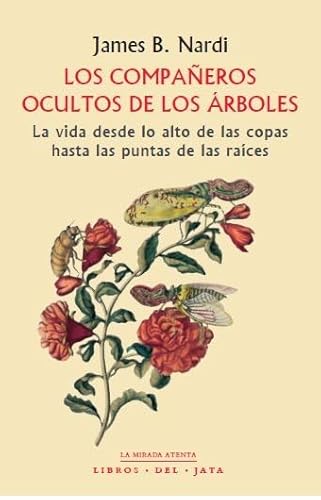 Los compañeros ocultos de los árboles: La vida desde lo alto de las copas hasta las puntas de las raíces (La mirada atenta, Band 16) von Libros del Jata