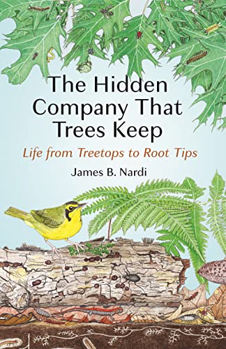 The Hidden Company That Trees Keep: Life from Treetops to Root Tips von Princeton University Press