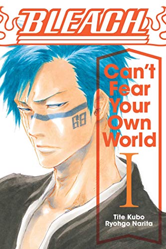 Bleach: Can't Fear Your Own World, Vol. 1: Can’t Fear Your Own World (BLEACH CANT FEAR YOUR OWN WORLD LIGHT NOVEL SC, Band 1)