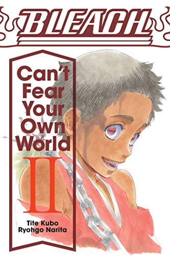 Bleach: Can't Fear Your Own World, Vol. 2 (BLEACH CANT FEAR YOUR OWN WORLD LIGHT NOVEL SC, Band 2)