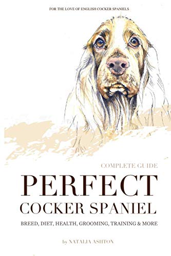 Perfect cocker spaniel: complete guide. Breed, diet, health, grooming, training and more von Independently published