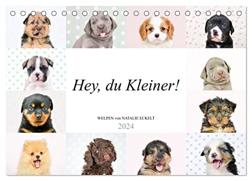 Hey, du Kleiner! (Tischkalender 2024 DIN A5 quer), CALVENDO Monatskalender