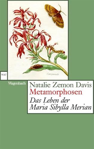 Metamorphosen: Das Leben der Maria Sibylla Merian (Wagenbachs andere Taschenbücher) von Wagenbach Klaus GmbH
