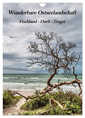Wunderbare Ostseelandschaft Fischland-Darß-Zingst (Wandkalender 2024 DIN A4 hoch), CALVENDO Monatskalender von CALVENDO