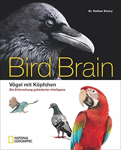 Bildband Vögel: Überflieger. Vögel mit Köpfchen. National Geographic präsentiert wunderschön illustriert die faszinierende Erforschung der gefiederten ... - Die Erforschung gefiederter Intelligenz von National Geographic Deutschland