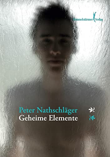 Geheime Elemente: Roman
