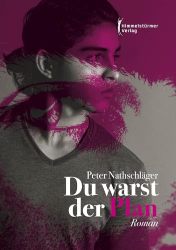 Du warst der Plan von Himmelstürmer