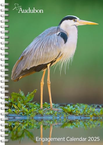 Audubon Engagement Calendar 2025: A Tribute to the Wilderness and Its Spectacular Landscapes