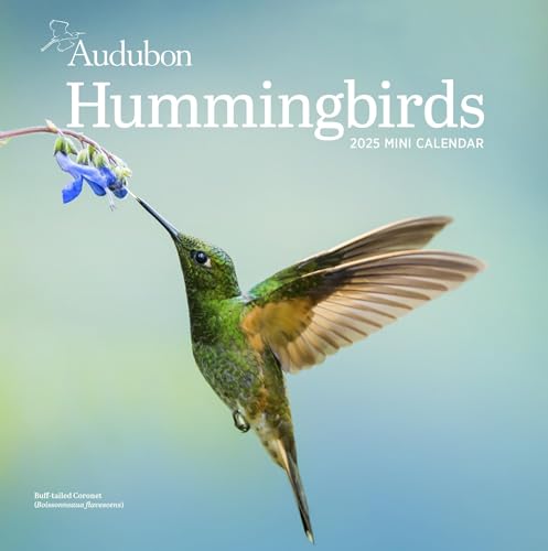 Audubon Hummingbirds Mini Wall Calendar 2025 von Workman Publishing
