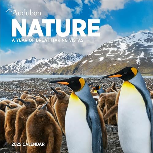 Audubon Nature Wall Calendar 2025: A Year of Breathtaking Vistas
