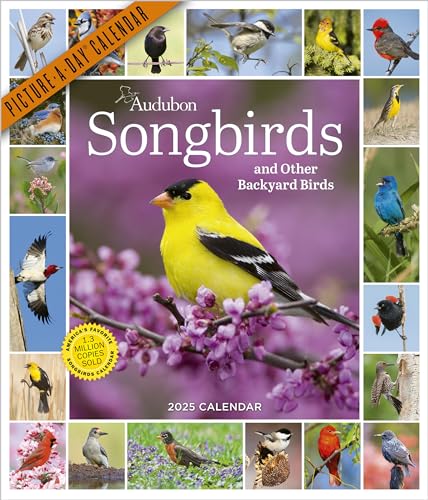 Audubon Songbirds and Other Backyard Birds Picture-A-Day® Wall Calendar 2025