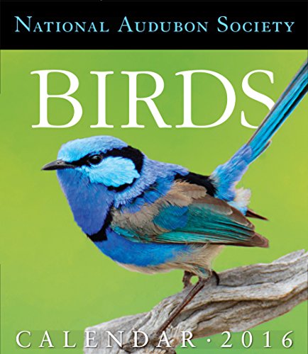 National Audubon Birds 2016 Calendar von Artisan Division of Workman Publishing