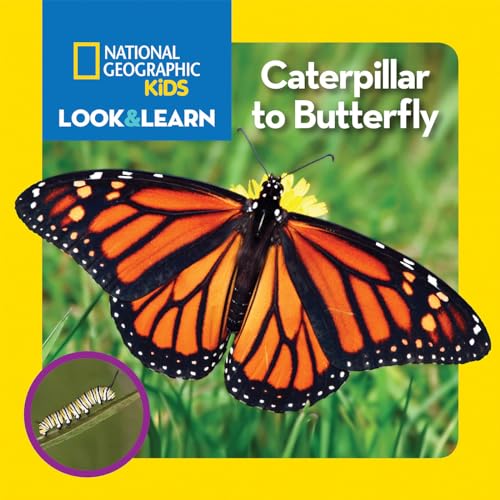 National Geographic Kids Look and Learn: Caterpillar to Butterfly (Look & Learn)