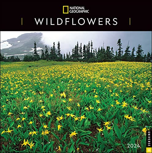 National Geographic Wildflowers 2024 Calendar