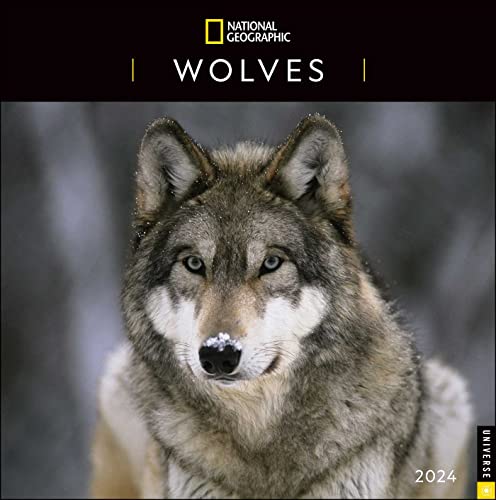 National Geographic Wolves 2024 Calendar