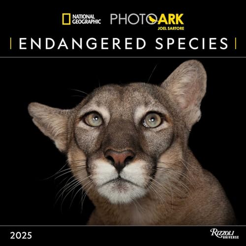 National Geographic: Endangered Species 2025 Wall Calendar National Geographic: Endangered Species 2025 Wall Calendar