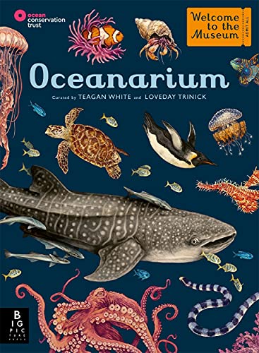 Oceanarium von BONNIER