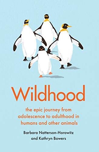 Wildhood: the epic journey from adolescence to adulthood in humans and other animals von Scribe UK