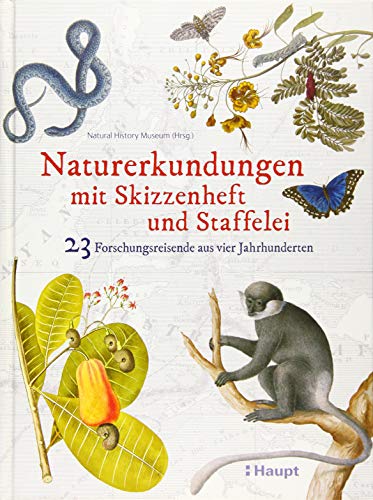 Naturerkundungen mit Skizzenheft und Staffelei: 23 Forschungsreisende aus vier Jahrhunderten