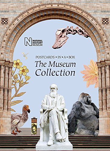 The Museum Collection: Postcards in a Box von Natural History Museum
