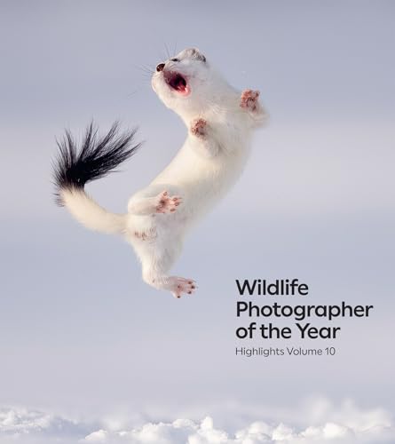 Wildlife Photographer of the Year: Highlights Volume 10 (Wildlife Photographer of the Year, 10) von Natural History Museum