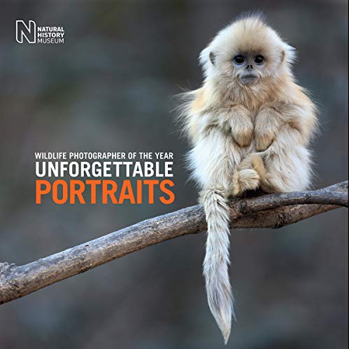 Wildlife Photographer of the Year: Unforgettable Portraits von NHM