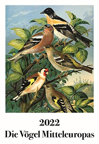 Johann Friedrich Naumann – Die Vögel Mitteleuropas: Wandkalender 2022