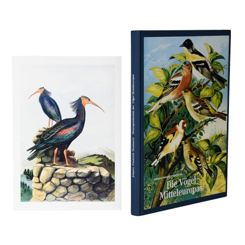 Vorzugsausgabe: Johann Friedrich Naumann – Die Vögel Mitteleuropas: Naturgeschichte der Vögel. Vorzugsausgabe mit Fine Art Print "Waldrapp" von Favoritenpresse