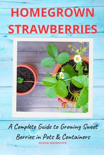 Homegrown Strawberries: A Complete Guide to Growing Sweet Berries in Pots & Containers Homegrown Strawberries: A Complete Guide to Growing Sweet Berries in Pots & Containers von Independently published
