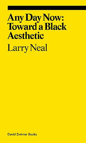 Any Day Now: Toward a Black Aesthetic (Ekphrasis) von Thames & Hudson