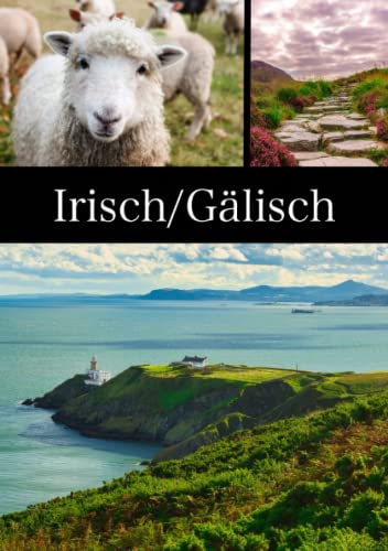 Irisch/Gälisch: Vokabelheft Gälisch, DIN A5 Irisch/Gälisch: Vokabelheft Gälisch, DIN A5 von Independently published