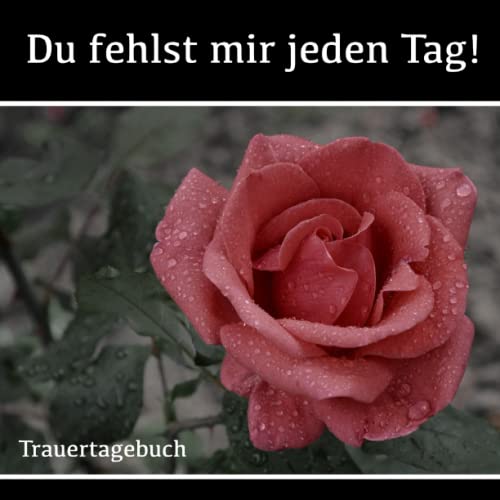 Trauertagebuch: Du fehlst mir jeden Tag! Trauertagebuch: Du fehlst mir jeden Tag!