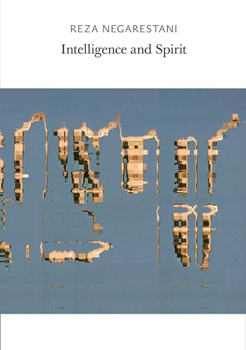 Intelligence and Spirit von MIT Press