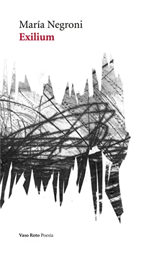 Exilium (Poesía, Band 95) von VASO ROTO EDICIONES