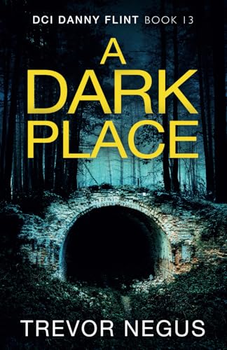 A Dark Place (DCI Danny Flint, Band 13) von Inkubator Books