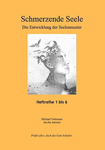 Schmerzende Seele: Die Entwicklung der Seelenmuster von Book on Demand