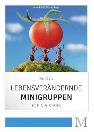Lebensverändernde Minigruppen: Klein & Stark von Movement Verlag
