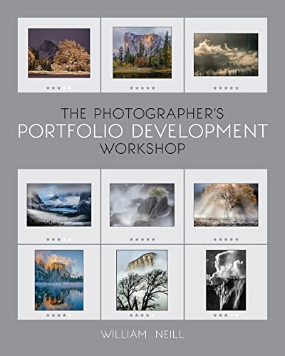 The Photographer's Portfolio Development Workshop: Learn to Think in Themes, Find Your Passion, Develop Depth, and Edit Tightly von Rocky Nook
