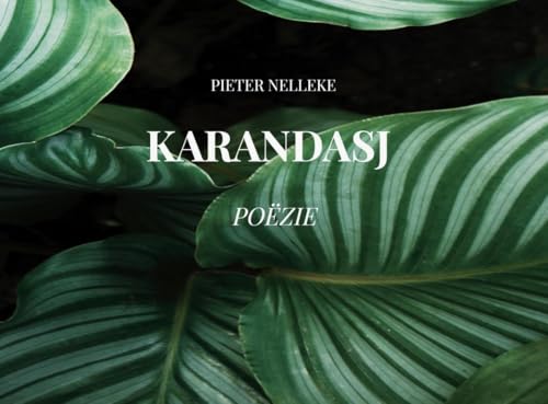 KARANDASJ: thank you von Bookmundo
