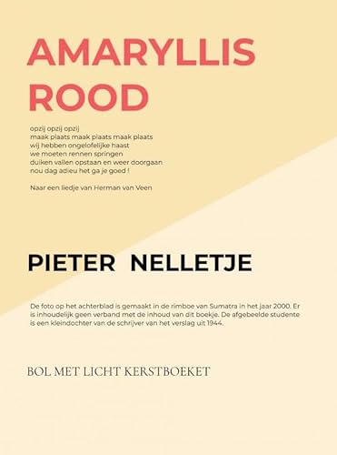 AMARYLLIS ROOD: BOL MET LICHT KERSTBOEKET von Mijnbestseller.nl