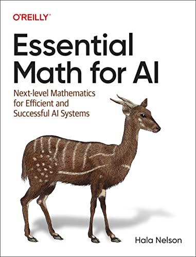 Essential Math for AI: Next-Level Mathematics for Developing Efficient and Successful AI Systems