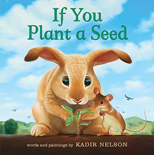 If You Plant a Seed Board Book: An Easter And Springtime Book For Kids von Balzer & Bray/Harperteen