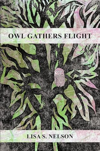 Owl Gathers Flight: A Collection of Poems von Lulu.com