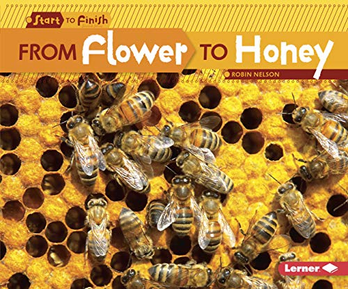From Flower to Honey (Start to Finish: Nature's Cycles)