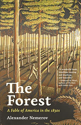 The Forest: A Fable of America in the 1830s (The A. W. Mellon Lectures in the Fine Arts, 72) von Princeton University Press