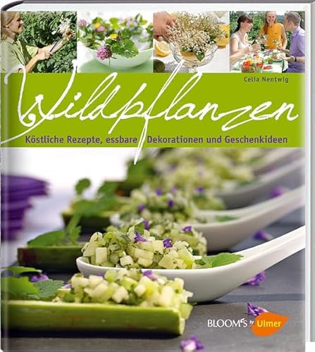 Wildpflanzen: Köstliche Rezepte, essbare Dekorationen und Geschenkideen