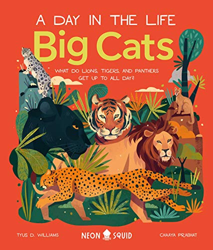 Big Cats (A Day in the Life): What Do Lions, Tigers and Panthers Get up to All Day? (A Day in the Life, 1)