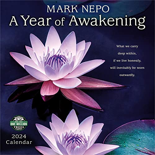Mark Nepo 2024 Calendar: A Year of Awakening von Amber Lotus