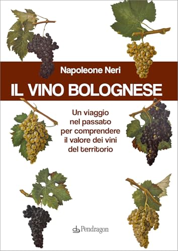 Il vino bolognese. Un viaggio nel passato per comprendere il valore dei vini del territorio (Amo Bologna) von Edizioni Pendragon